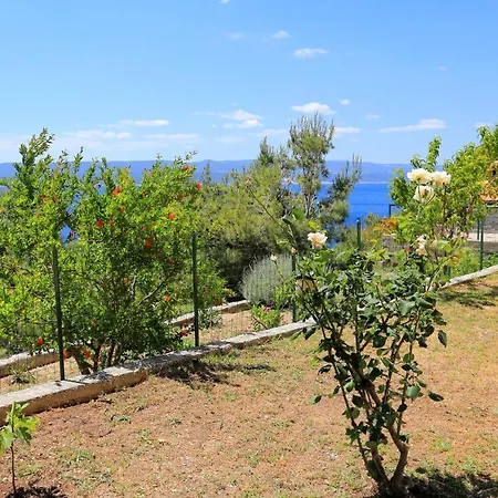 Lejlighed By The Sea Marusici - Omis - 1024 Mimice